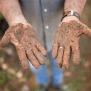 geworteld-leven geworteld-leven