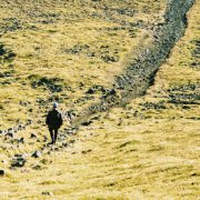 Werkt duurzaamheid wel