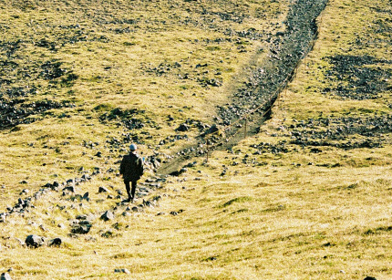 Werkt duurzaamheid wel